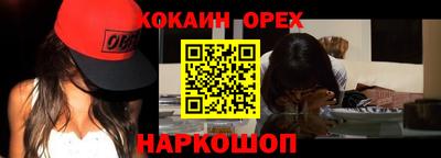 сатива Кингисепп
