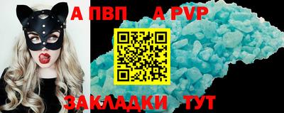 сатива Кингисепп
