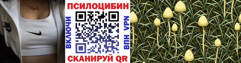 купить закладку  Карасук  гидра как зайти  Галлюциногенные грибы прущие грибы 