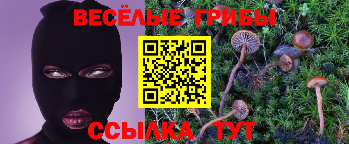 Галлюциногенные грибы прущие грибы  Галлюциногенные грибы прущие грибы  Карасук 