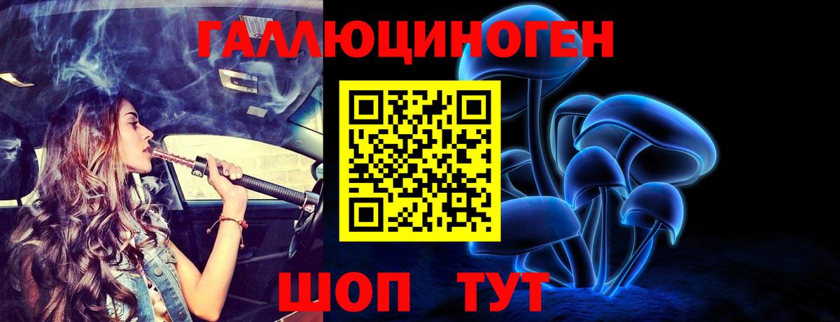 Псилоцибиновые грибы GOLDEN TEACHER Карасук